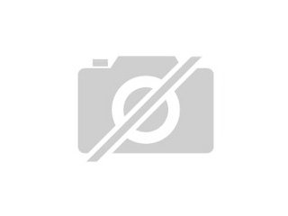 Bradex Sammelteller Uralte Riesen
